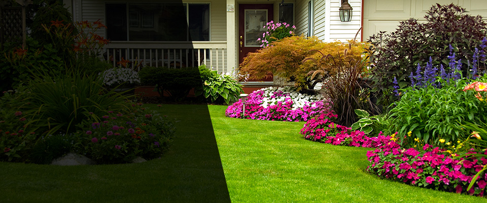 Springboro Landscapers