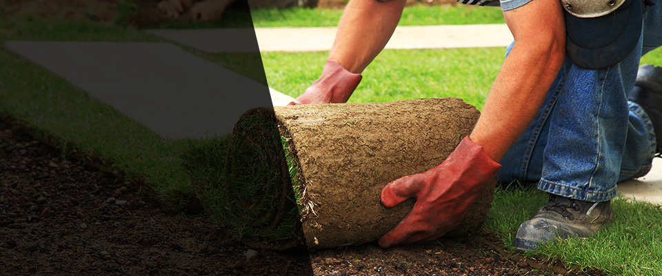 Springboro Landscapers